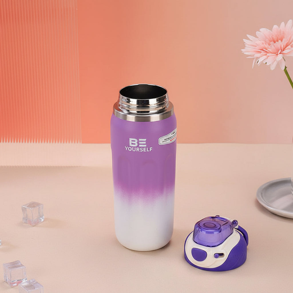 500ml Premium Sport Flask | Insulated Steel Bottle, 4 Aesthetic Colors