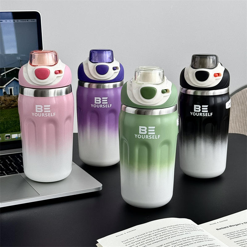 500ml Premium Sport Flask | Insulated Steel Bottle, 4 Aesthetic Colors